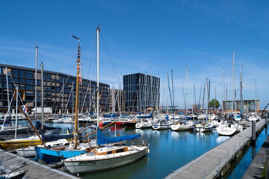 Four Elements Hotel - Resim 24