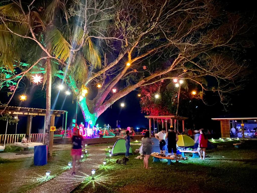 a group of people standing under a large tree at night at Sunset Hut Hostel in Omoa
