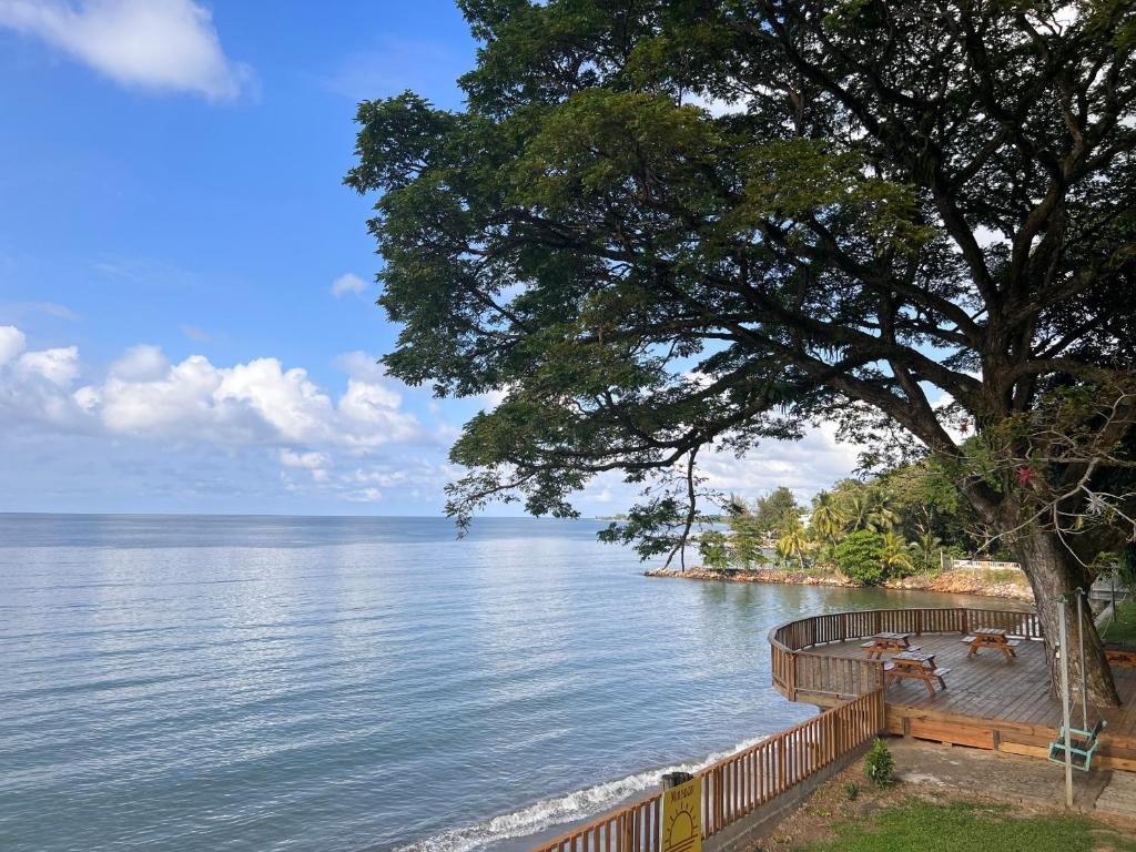 a view of a large body of water with a tree at Sunset Hut Hostel in Omoa