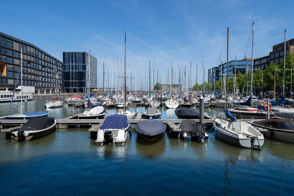 Four Elements Hotel - Resim 42