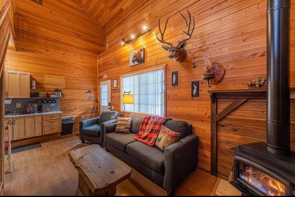 a living room with a couch and a fireplace at Cabin #1 Buffalo Herd -Pet Friendly - Sleeps 6 - Playground & Game Room in Payson