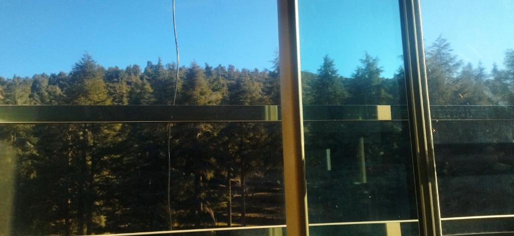 una ventana con vistas a un bosque de árboles en Ketama house, en Ketama