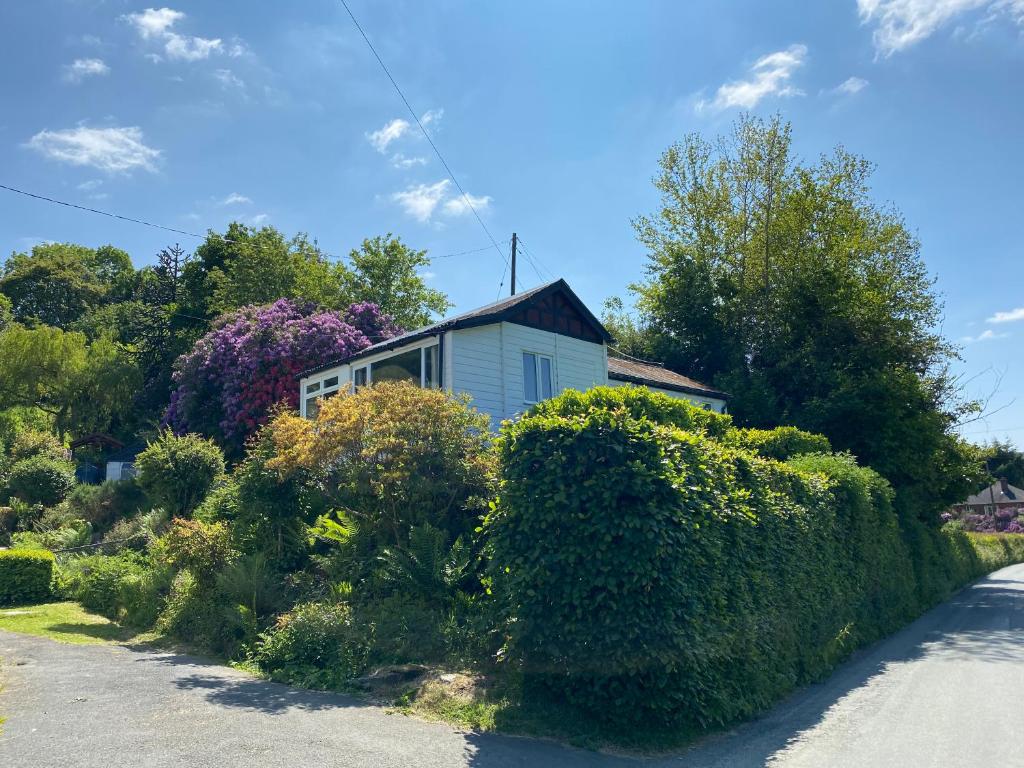 a house on the side of a road with bushes at Treetops in Welshpool