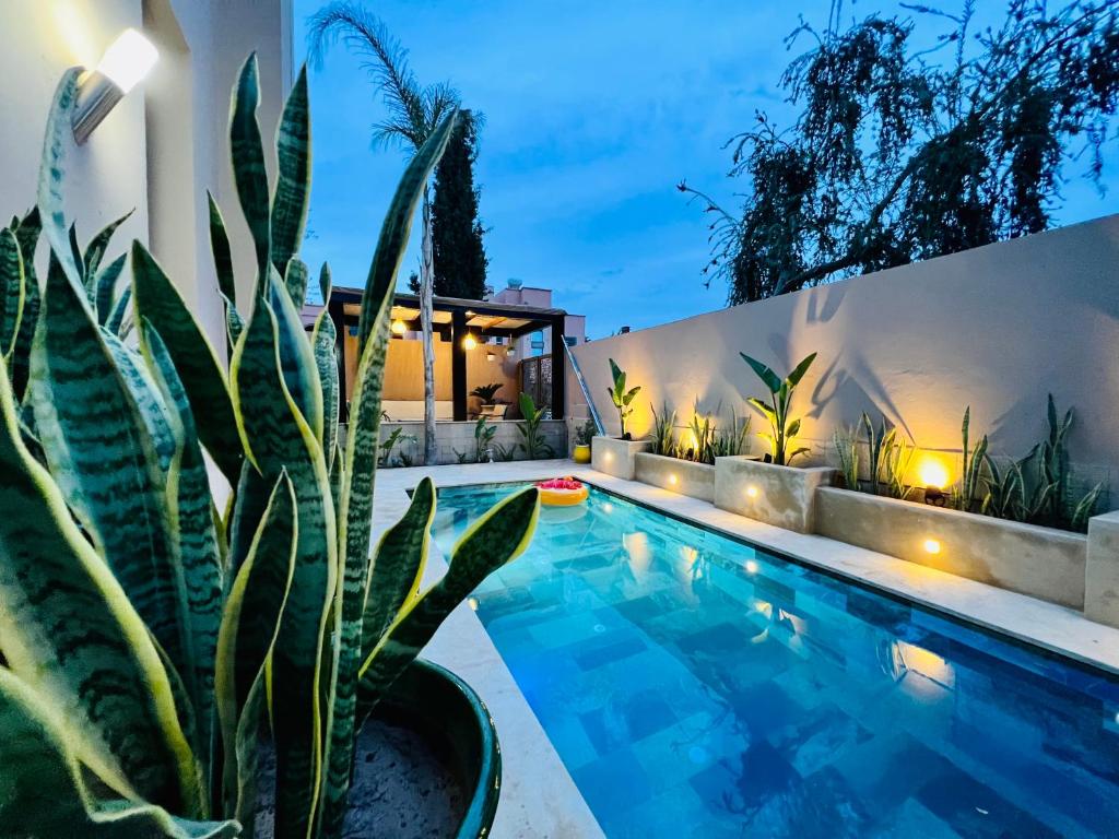 uma piscina com um vaso de plantas ao lado de uma casa em SABOR VILLA TARGA GARDEN -Only Family em Marraquexe