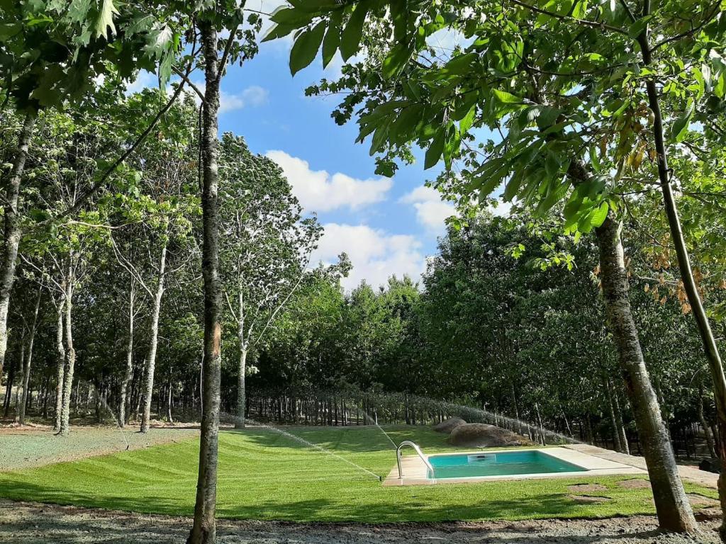 ein Schwimmbad inmitten eines Parks mit Bäumen in der Unterkunft Treasure Roses Private Pool Villa in Armamar
