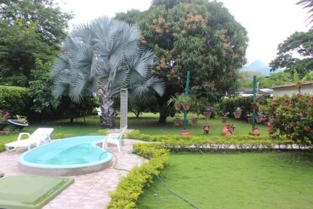 a yard with a swimming pool and a palm tree at Missi in El Descanso