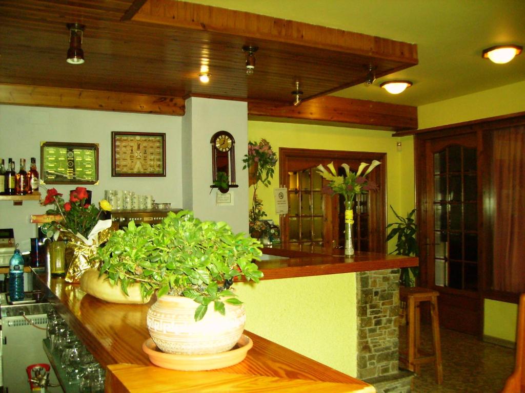 Nápoje v ubytování Hostal l'Escon
