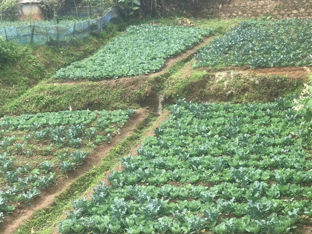 Queensland Hotel - 14