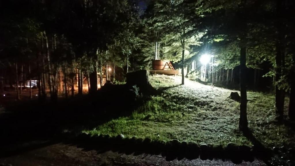 a park at night with a street light at Cabañas Namoncahue in Pucón