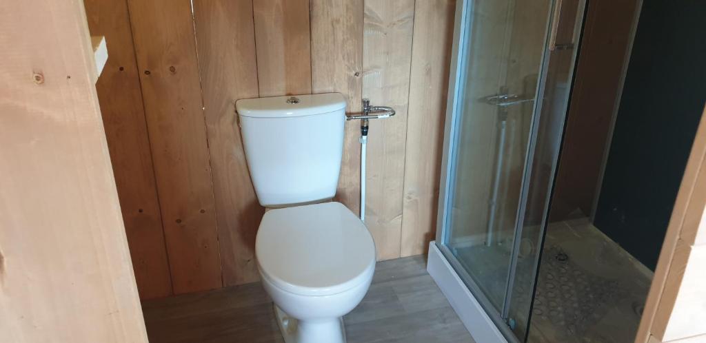 a bathroom with a toilet and a glass shower at Larah Land 4 Star Glamping Yala Lodge plus kids lodge in Šimuni