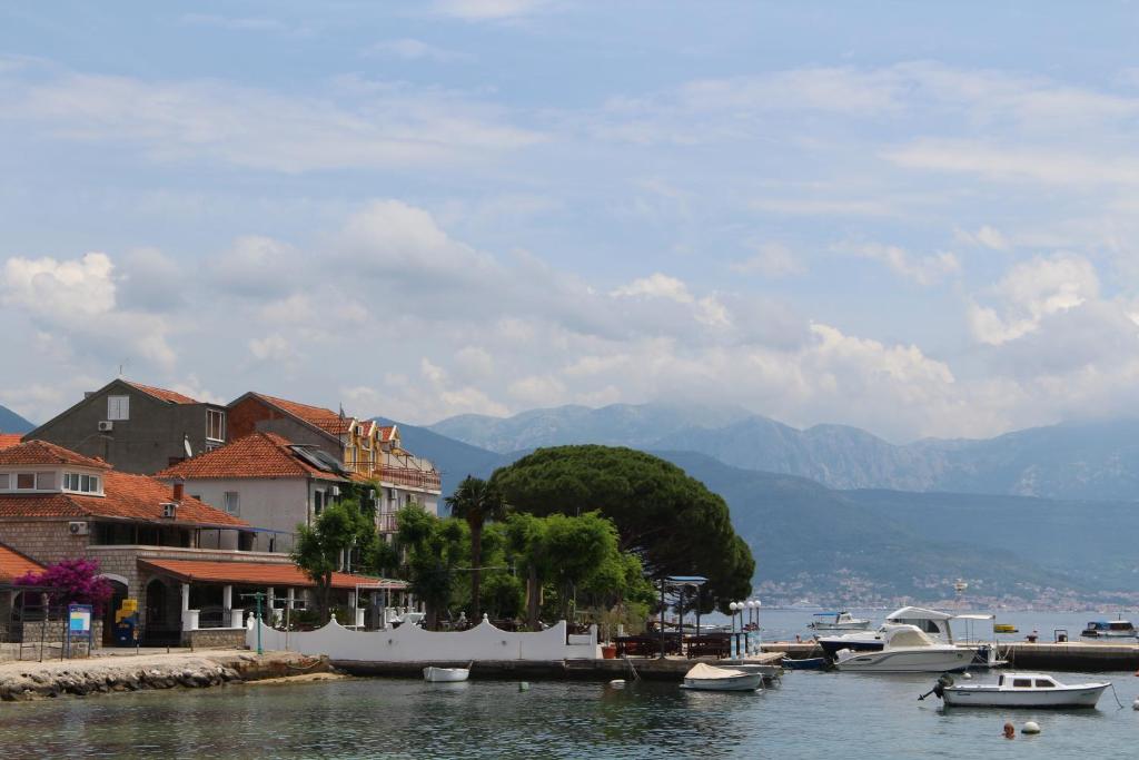 eine Gruppe von Booten, die an einem Yachthafen auf dem Wasser angedockt sind in der Unterkunft Luna Portonovi apartments in Herceg-Novi