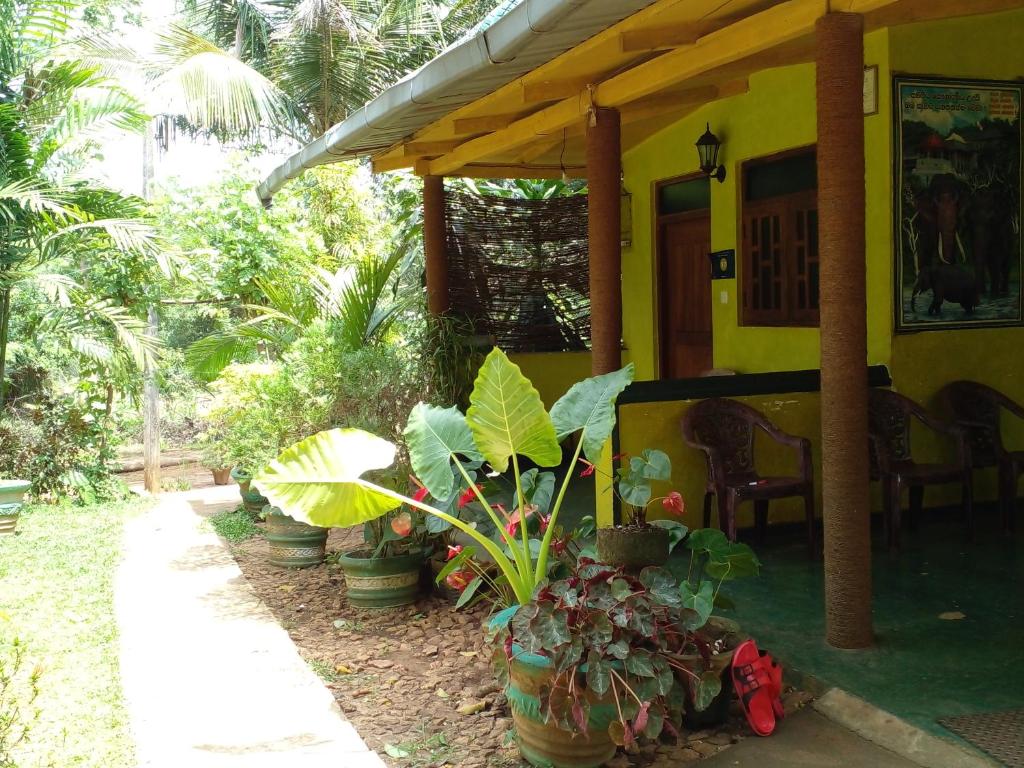 Zahrada ubytování Sigiri Neo Homestay