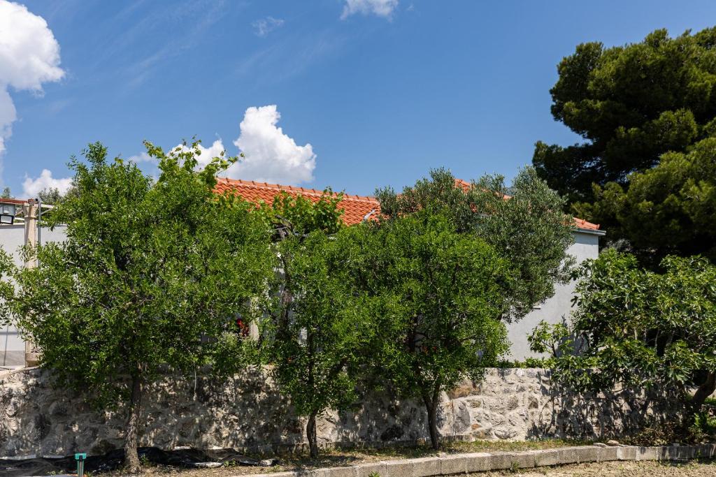 Apartments Roza - 19