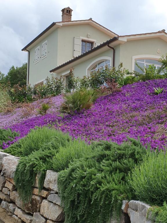 een huis met paarse bloemen ervoor bij Villa Countryside Maremma in Scansano