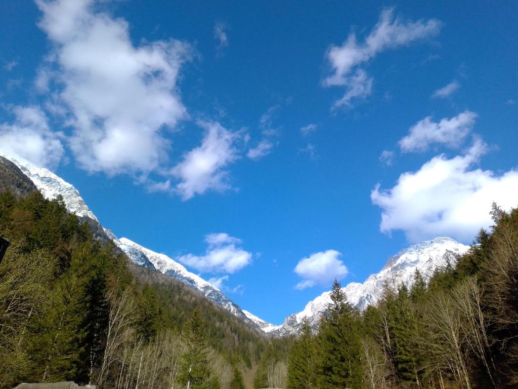 vista su una catena montuosa con neve di Glamping Grintovec 