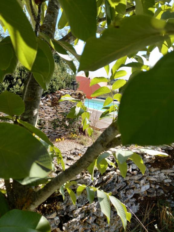 Zahrada ubytování LE PARDÈS BnB