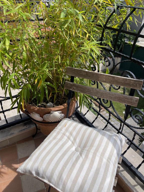 A balcony or terrace at Luxury Central Apartment