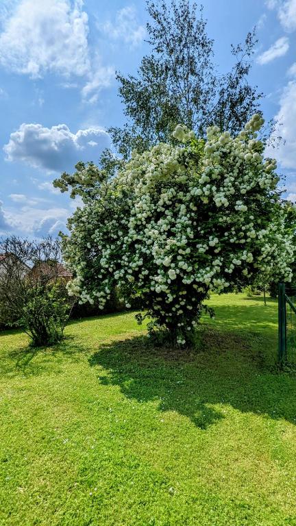Zahrada ubytování Le Clos des écureuils - chambres d'hôtes