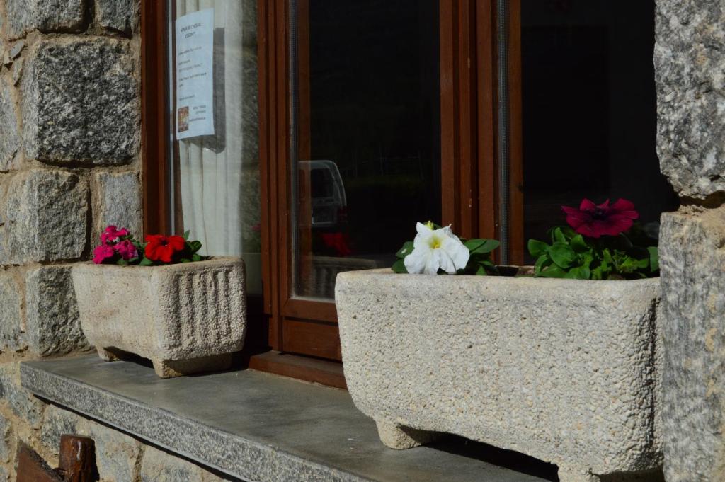Fotografie z fotogalerie ubytování Hostal l'Escon v destinaci Llanars
