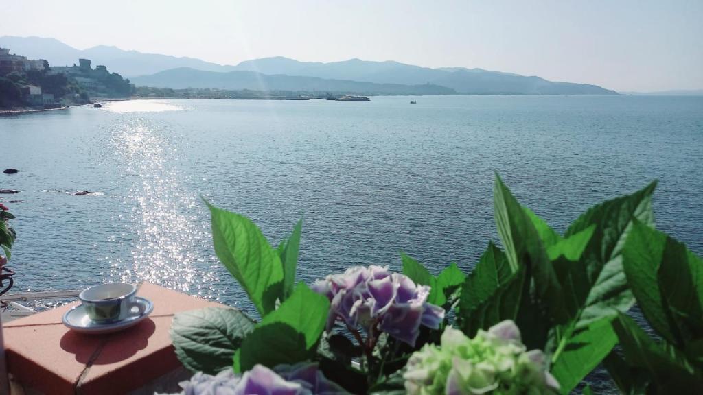 una vista de un cuerpo de agua con una taza y flores en Notti sul mare a Villa Chiara en Marina di Casalvelino