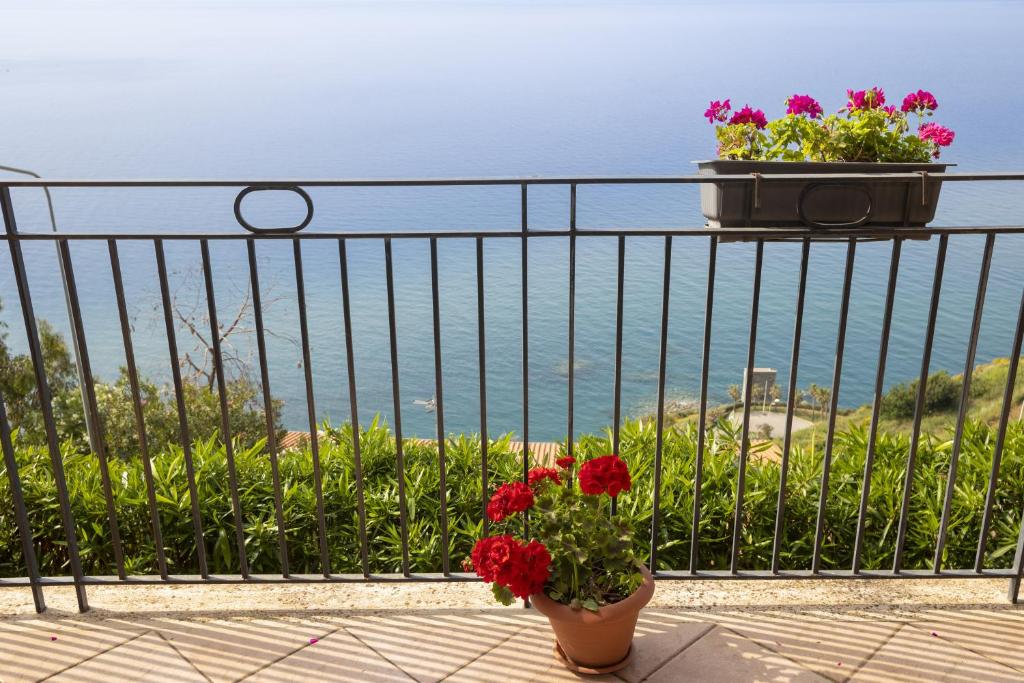 un balcón con flores en una valla y el océano en La casa di Marigiò, en Piraino
