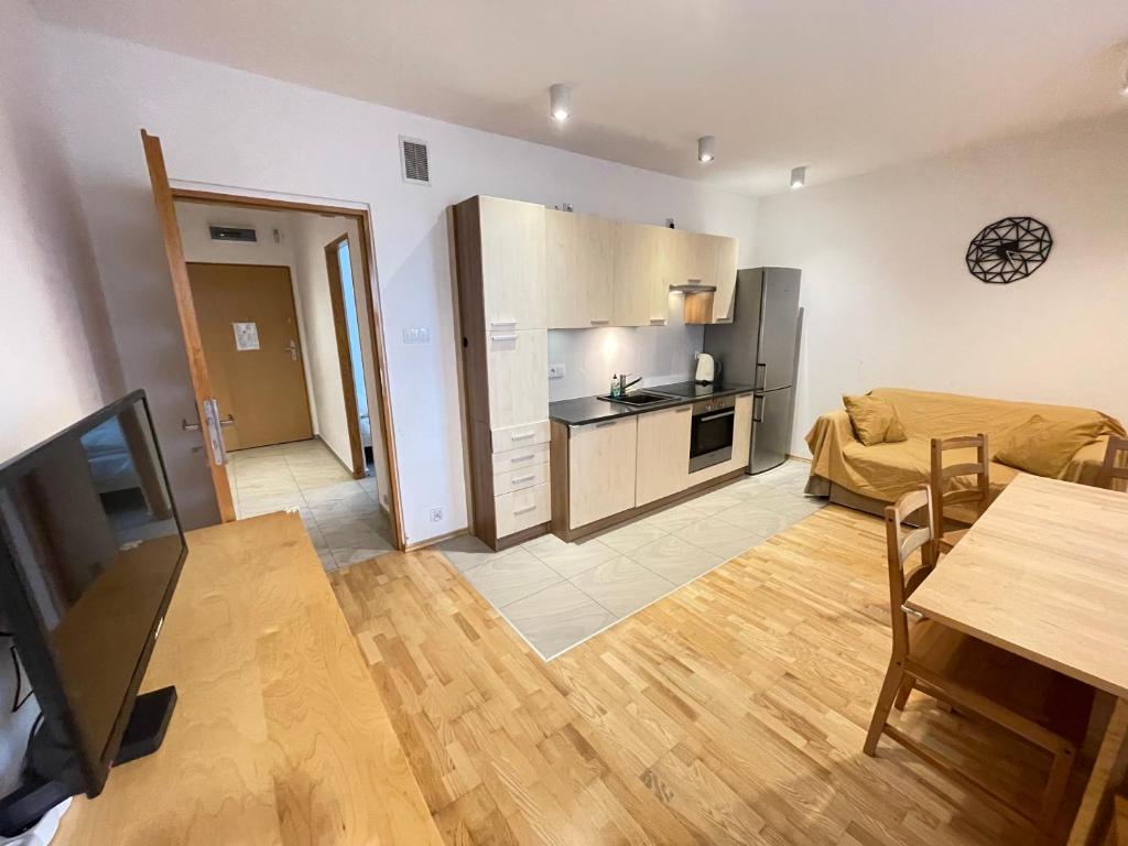 Кухня или мини-кухня в Apartament Park Zakrzowek
