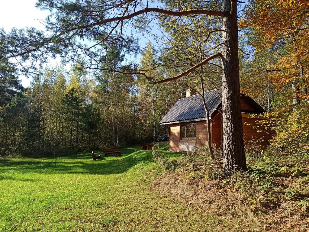 Zawiśnie W Lesie Każdy Kto Doniesie Survivalowa chata w lesie, Bukowsko (updated prices 2024)