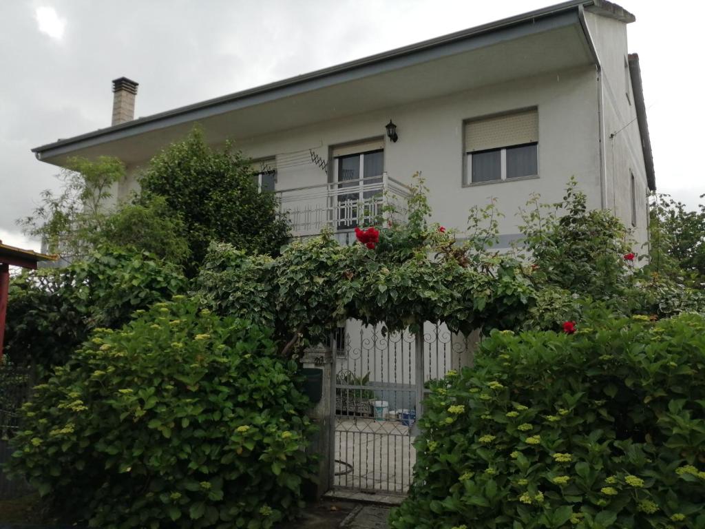 Zahrada ubytování A CASA DOS AVÓS