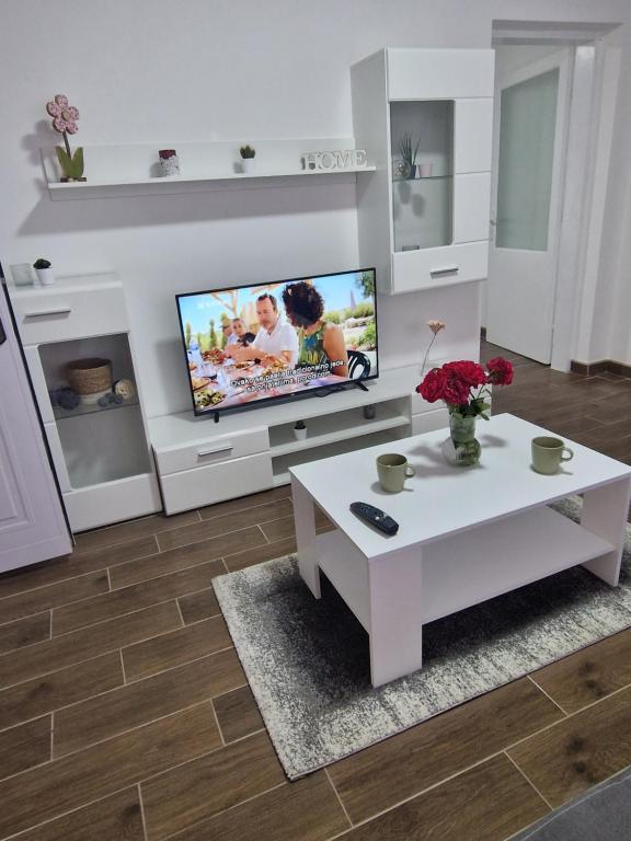 TV a/nebo společenská místnost v ubytování Apartmani Bambi 2