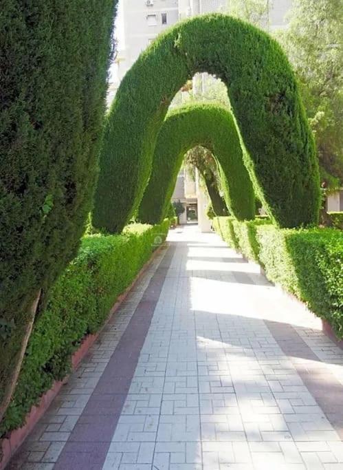 Fotografia z galérie ubytovania Gran San Carlos v destinácii Málaga