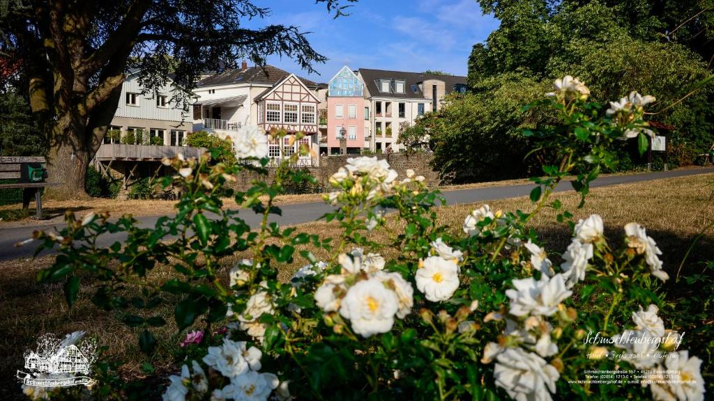 Hotel-Restaurant Schmachtenbergshof - Resim 20