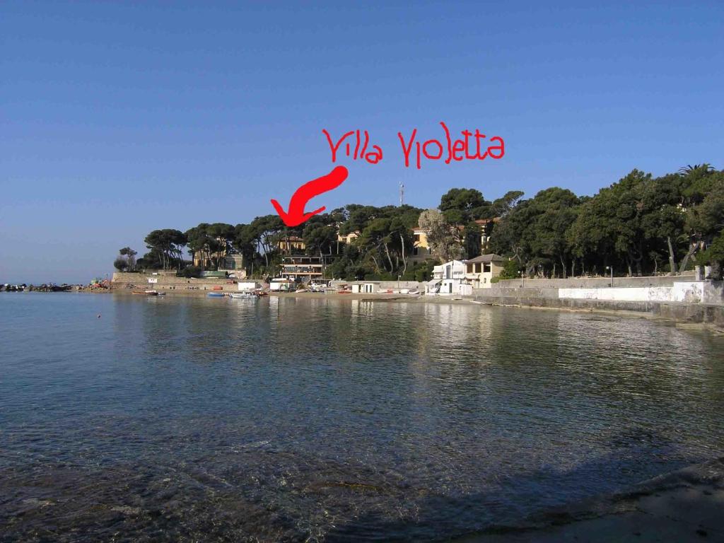 カスティリョンチェッロにあるVilla Violettaの水上を飛ぶ赤鳥