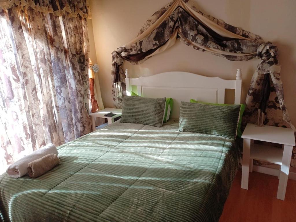 um quarto com uma cama de dossel verde em Platinum Guesthouse em Klerksdorp
