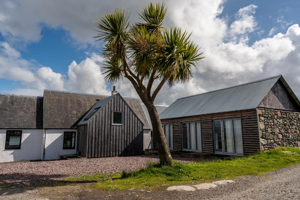 a palm tree in front of a house at Plockton Shoreside House in Plockton