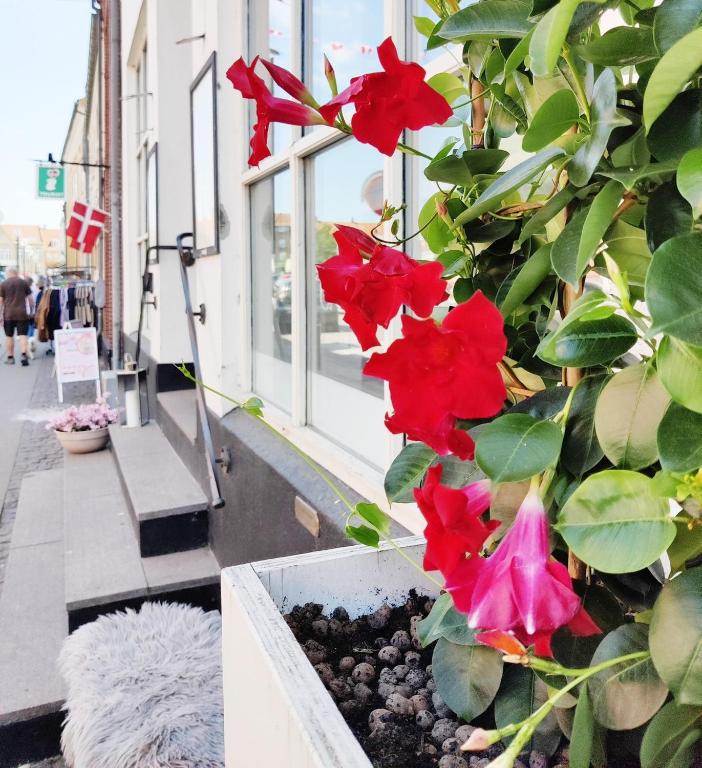 Balkón nebo terasa v ubytování CentralHotellet