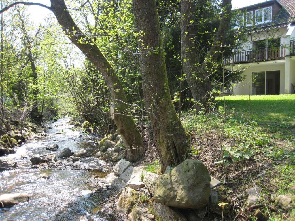 um riacho em frente a uma casa com uma árvore em Ferienwohnung-am-Wurmberg-5 em Braunlage