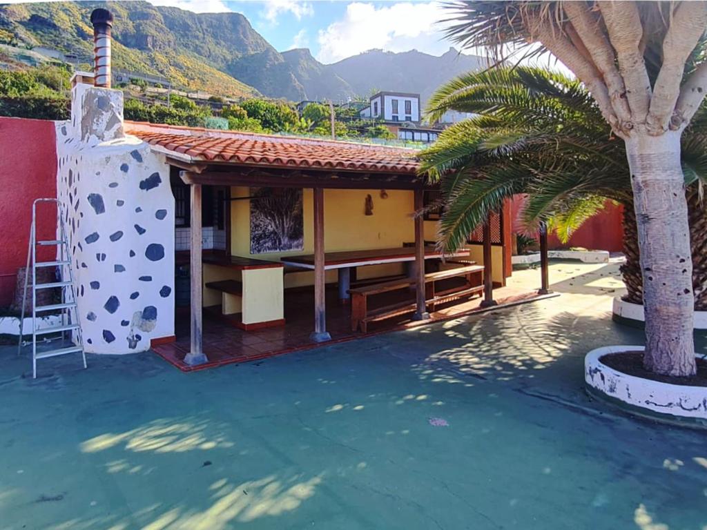 una casa con una palmera y una piscina en Live Garachico Villa Daute con terraza y piscina, en Las Cruces