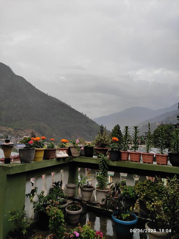 un montón de plantas en macetas sentadas en una cornisa en Khowti Stay, en Dirang Dzong