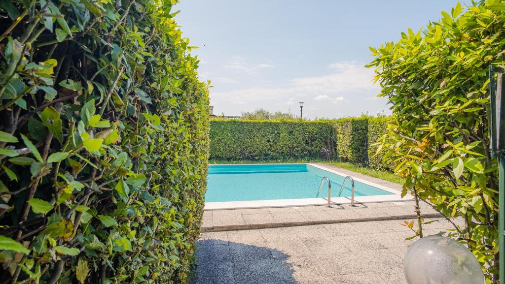 una piscina frente a un seto en The House in the Vineyard - Italian Homing, en Manerba del Garda