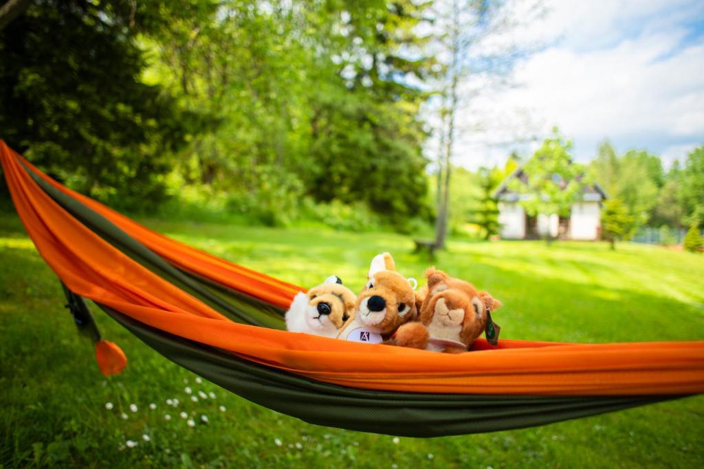 Domácí mazlíčci ubytovaní s hosty v ubytování Amenity Hotel & Resort Orlické hory