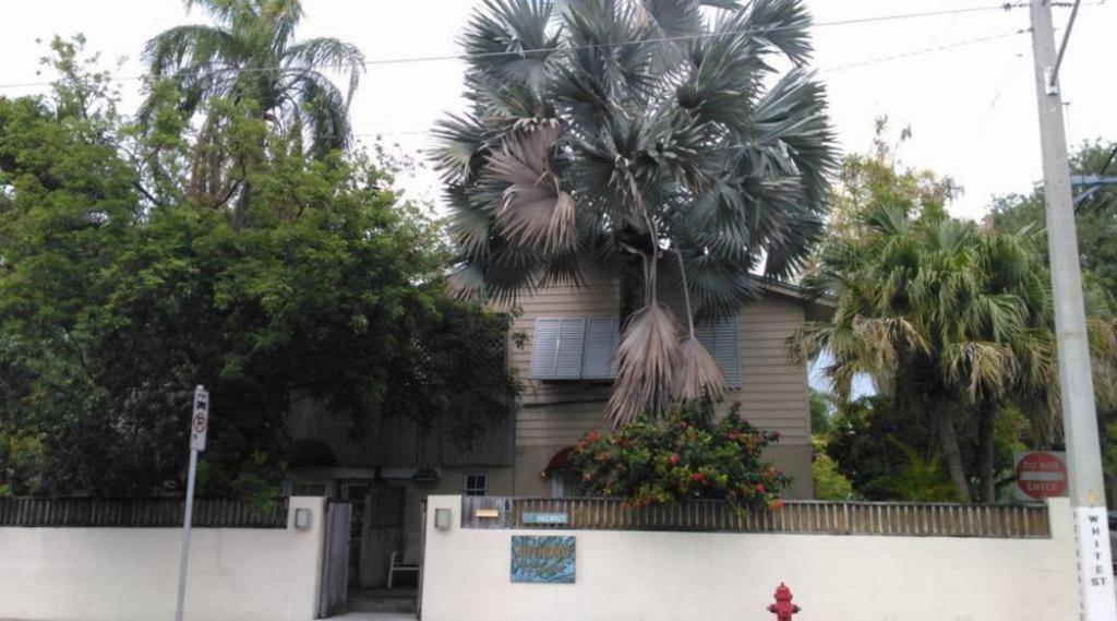 a house with a palm tree in front of it at Carr's Hill Luxury Safari Tents in Denny