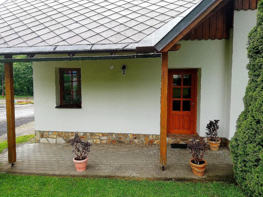 a house with potted plants in front of it at Apartmány 670 pod Lysou horou in Rokytnice nad Jizerou