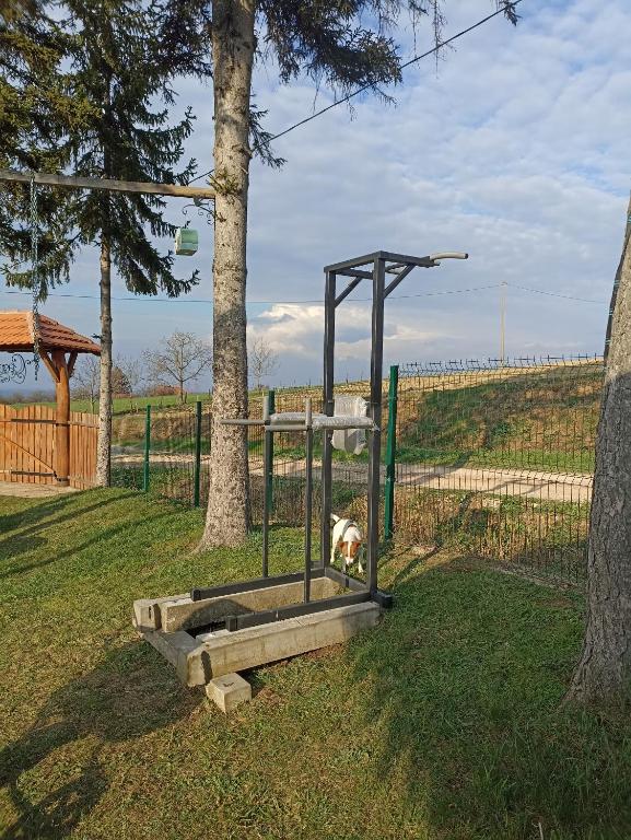 Příroda nedaleko apartmánu