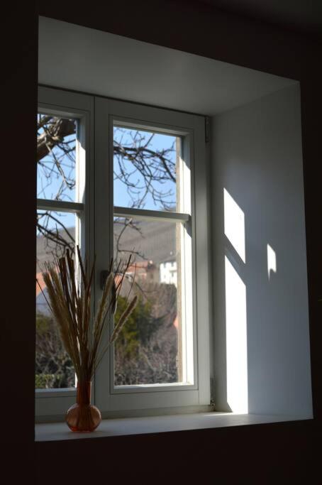 La Douce Escale – photo 11