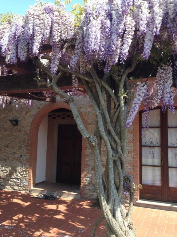 Fotografie z fotogalerie ubytování Fattoria Cirene v destinaci Follonica
