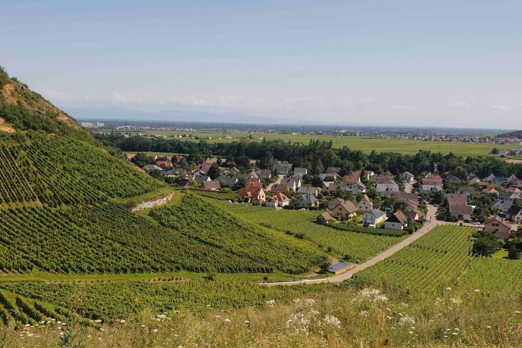 La Douce Escale – photo 21