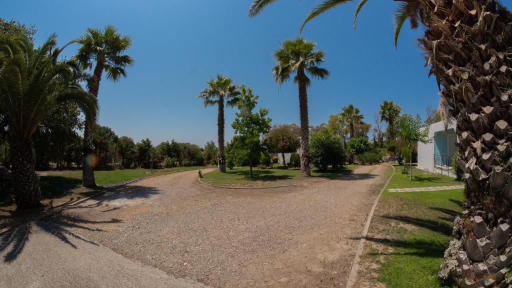 A garden outside Goldener Strand 2