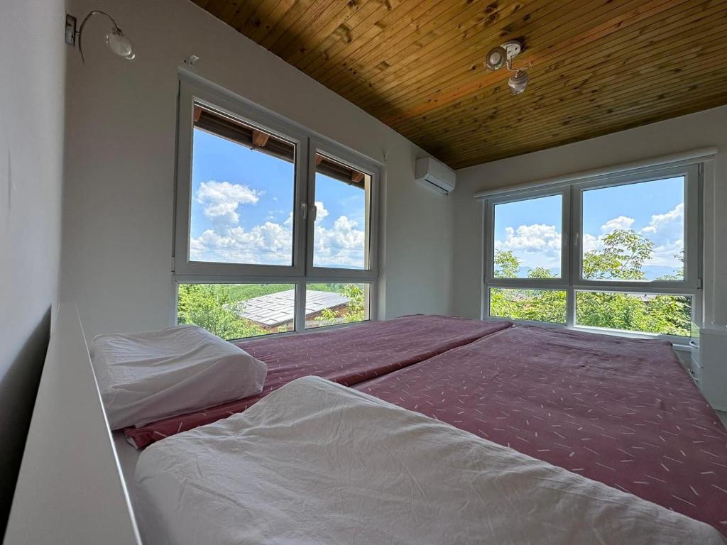 1 dormitorio con 1 cama grande y 2 ventanas en Villa Ajsa with private heated pool en Gladno Polje