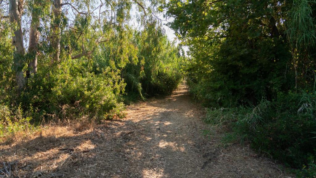Příroda nedaleko apartmánu
