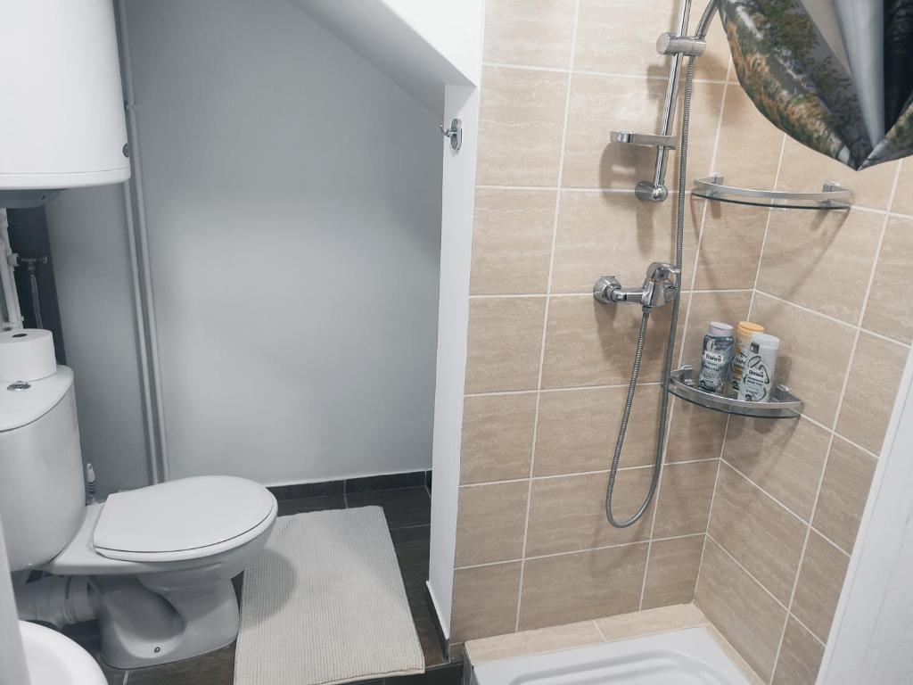 Koupelna v ubytování Apartman Katy